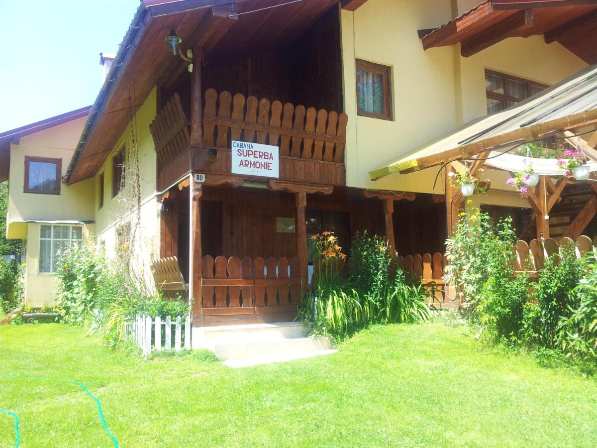 Cabana Suprema Armonie Дымбовичоара Экстерьер фото