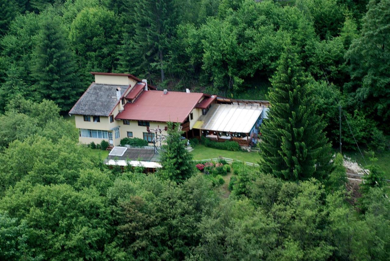 Cabana Suprema Armonie Дымбовичоара Экстерьер фото