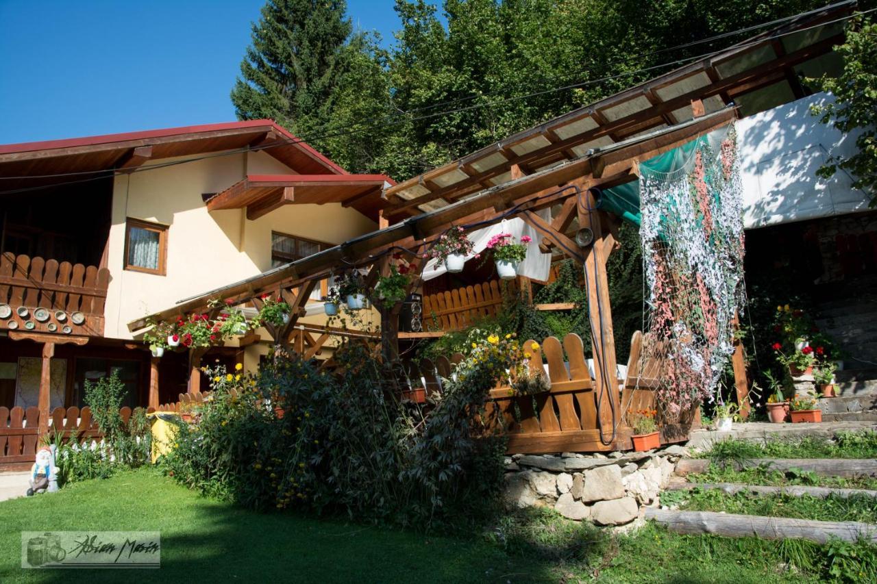 Cabana Suprema Armonie Дымбовичоара Экстерьер фото